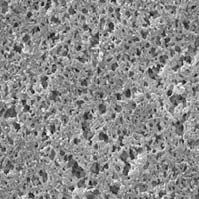 Нейлоновые мембраны и сетчатые фильтры (Мerck, Millipore)