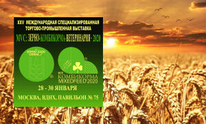 Юбилейная выставка «MVC: Зерно-Комбикорма-Ветеринария»